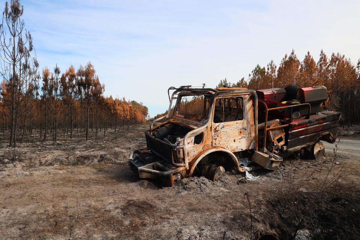 Burned-out wreck of a truck on scorched ground amid a fire-damaged pine forest, rust and ash tones, somber aftermath mood